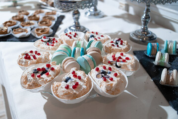 cupcakes with cream and icing