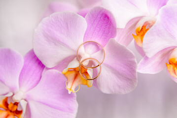 Wedding rings are on the purple orchids
