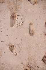 Footprints on the sand of the ocean, texture for a layout