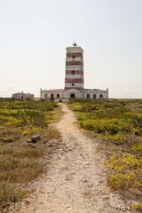Fototapeta na wymiar Road to the Lighthouse of Goa, Mozambique