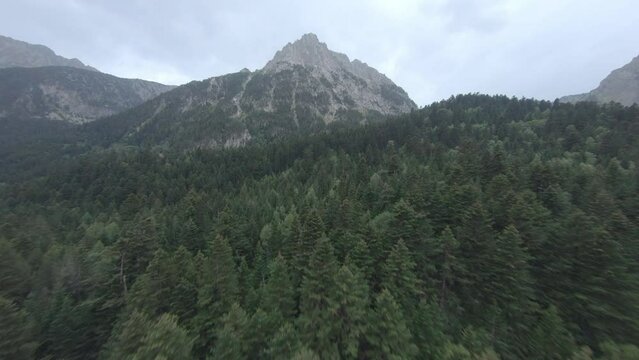 FPV aerial view above Esterri D'aneu alpine woodland trees towards rocky mountain peak, Catalonia park, Spain.