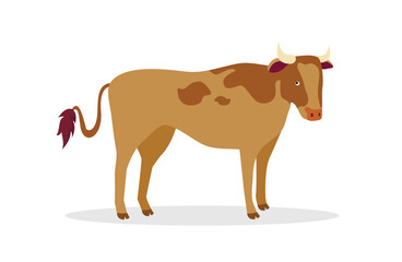 Spotted brown cow, side view