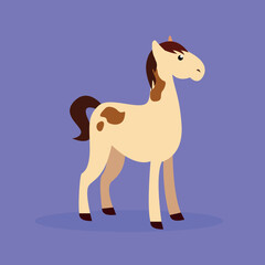 Spotted horse, side view, illustration