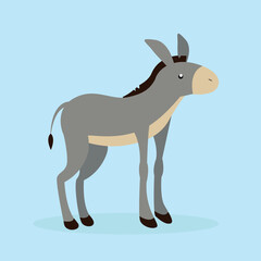 Donkey raised its head up, side view