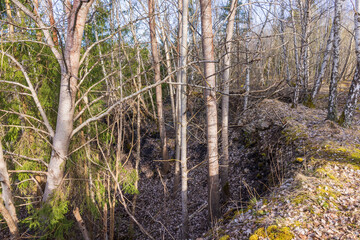 Old abandoned quarry in the forest