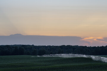 Corn field watering in sunset