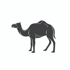 illustration of camel, desert animal, vector art.