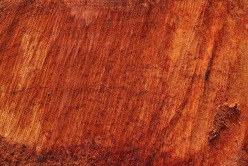Abstract pattern of longan tree core texture.