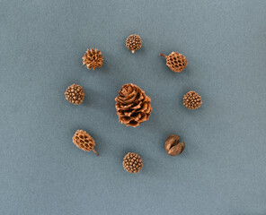 Pine cones on green background.