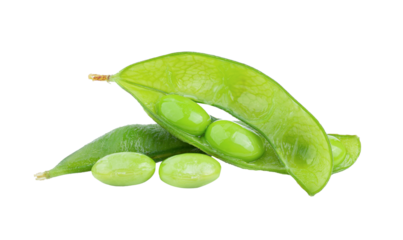 edamame beans isolated on transparent png