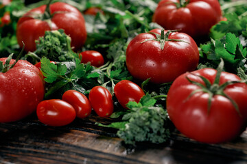 variety of tomatoes and herbs on a wooden table.