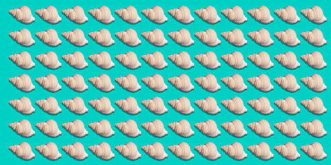repeated pattern of shells on a turquoise blue background