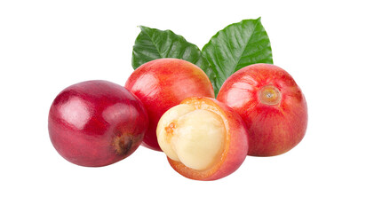 Red coffee beans  ripe and unripe berries isolated on transparent png