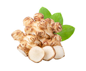 sunchoke isolated on transparent png