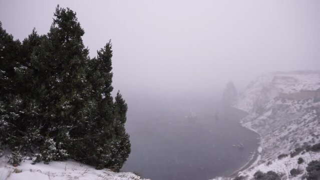 Snow covered rocky cliffs over sea. Winter landscape over the sea bay. Juniper tree under snow. Concept of winter holidays, travel and recreation. Cape Fiolent in Balaklava, Sevastopol, Crimea