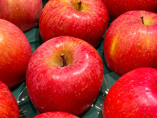 秋から冬の果物　真っ赤な完熟リンゴ