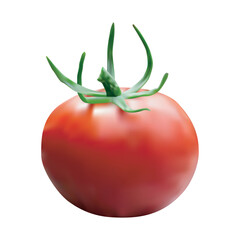 One fresh red tomato isolated on white background