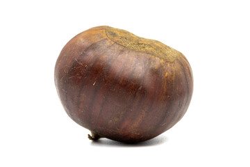 Chestnut isolated on a white background. Clipping Path. Full depth of field. close up