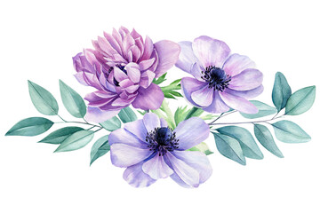Beautiful delicate flowers. Watercolor illustrations of anemone flowers, eucalyptus leaves. Floral design