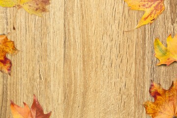 Naklejka na ściany i meble Autumn composition of dry fall leaves.