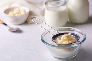 Kefir fermented milk drink with kefir grains. Homemade kefir stands in a glass, next to kefir grains and milk