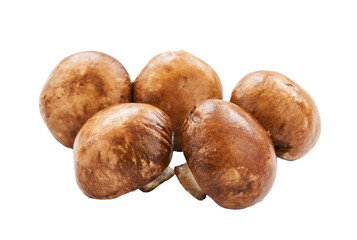 brown champignon button mushroom isolated on white background. pile of brown champignon button mushroom. group of brown champignon button mushroom isolated