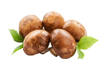 brown champignon button mushroom and green leaf isolated on white background. pile of brown champignon button mushroom. group of brown champignon isolated                              