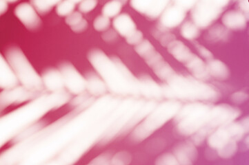 blurred red purple shadow of a palm leaf on a pink background. toned in viva magenta, trend color of the year 2023