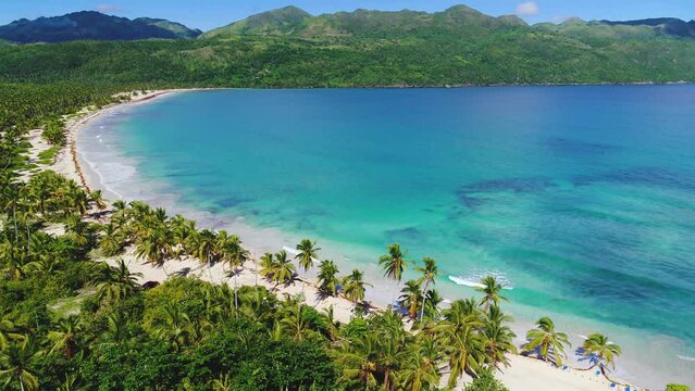 Wild palm beach in the Dominican Republic. Sunny day on the picturesque Caribbean coast. Exotic greenery of the palm jungle and blue of the sea. Beautiful tropical landscape, top view.