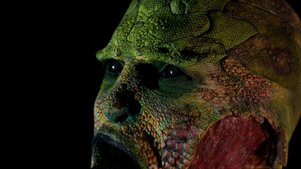 Fantasy lizard humanoid creature.