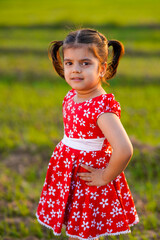 Indian little girl child standing at agriculture field.