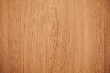 Natural wood light color texture background. Wood texture with natural pattern. Natural light color wood texture.