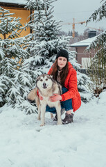 Fototapeta na wymiar girl and her cute alaskan malamute dog playing outdoors in the snow. Winter holidays concept