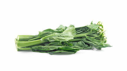 fresh chinese kale on white background, isolated