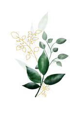 Watercolor botanical illustration, wall art design 