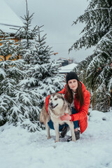 girl and her cute alaskan malamute dog playing outdoors in the snow. Winter holidays concept
