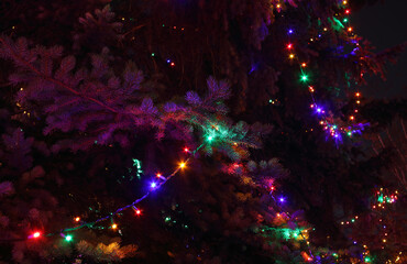 Background image of festive Christmas lights.