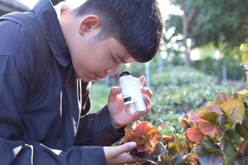 Young Asian boy is holding a pocket microscope to look at tiny particles on plant leaves to study...