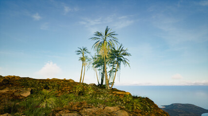 Tropical fantasy island.