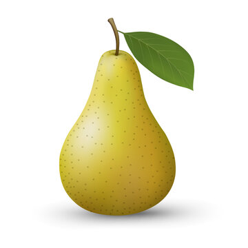 Realistic isolated pear