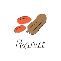 Peanuts in cartoon style. Nut icon for template label, packaging snackand emblem. Vector