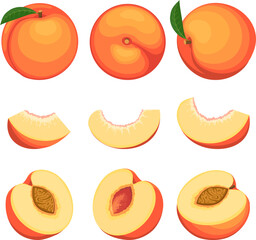 Peaches pieces illustration