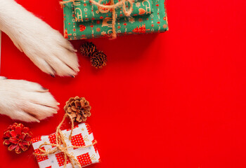 christmas background with cute dog paws - presents and decor on red copy space.  - obrazy, fototapety, plakaty