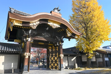 錦秋の輝く京都市東本願寺の阿弥陀堂門