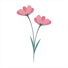 Flowers and Stalks Illustration