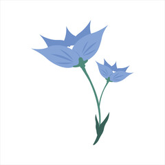 Flowers and Stalks Illustration