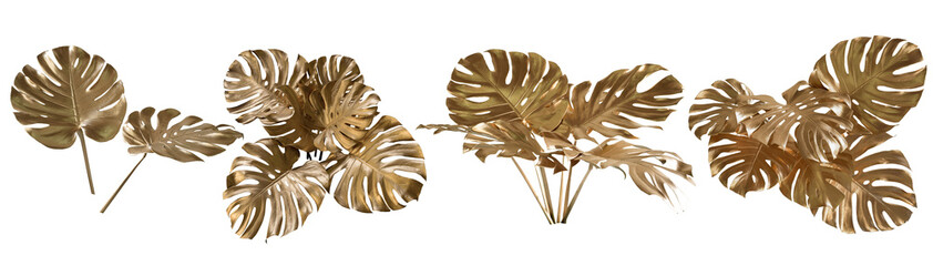 Plant Leaf Golden nature (monstera) Tropical forest Isolated on transparent background - png  © eakarat