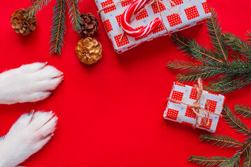christmas background with cute dog paws - presents and decor on red copy space. 