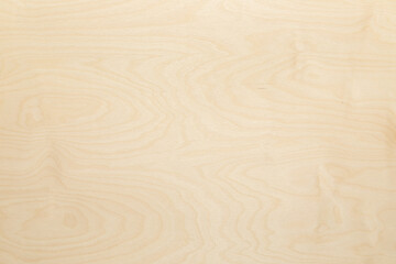 Fototapeta na wymiar Texture background. High key birch wood plank natural texture, plank texture background, plank tabletop background.