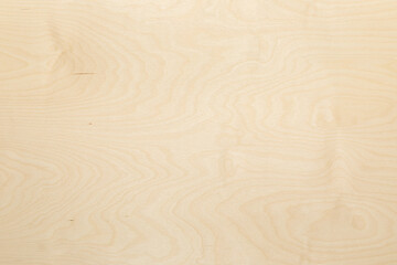 Fototapeta na wymiar High key birch wood plank natural texture, plank texture background, plank tabletop background.